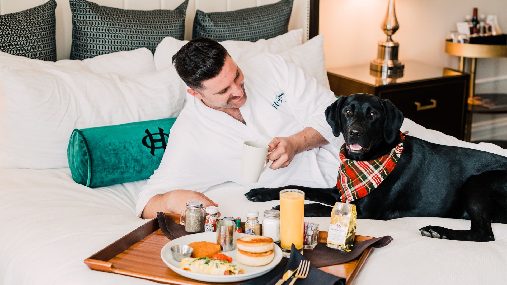 Male Guest Relaxing in bed with Black Lab and Delicious In Room Dining
